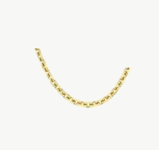 14k Yellow Gold Anchor Diamond Cut Belcher Chain – 2.5 mm